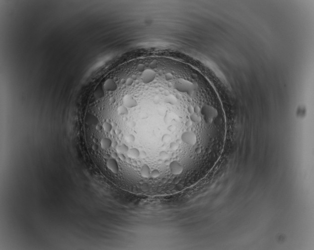 X0000103500967200809121735