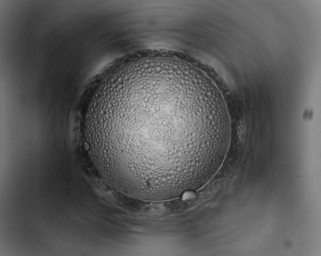 X0000103500968200809121735