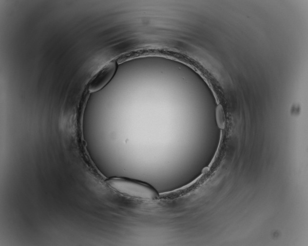 X0000103500969200809121735