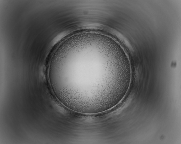 X0000103500970200809121735