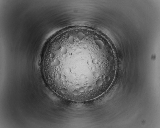 X0000103500971200809121735