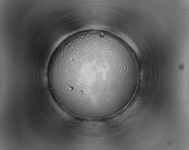 X0000103500972200809121734