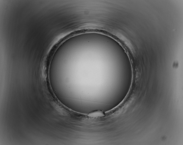 X0000103500973200809121734