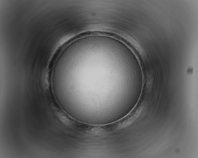 X0000103500974200809121734