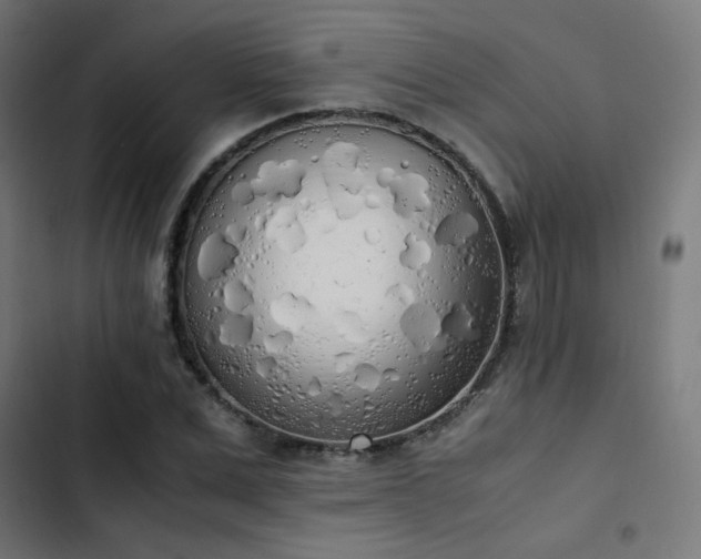 X0000103500975200809121734