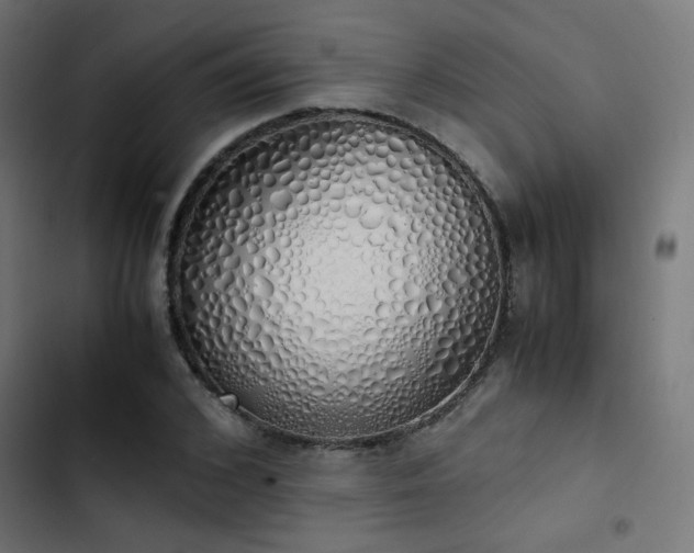 X0000103500976200809121734