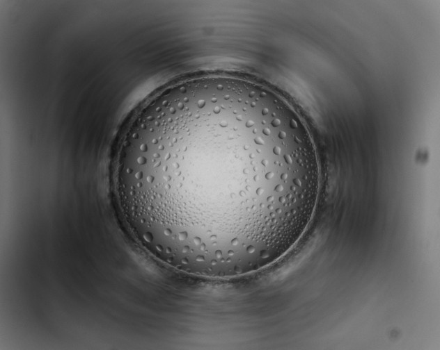 X0000103500978200809121734