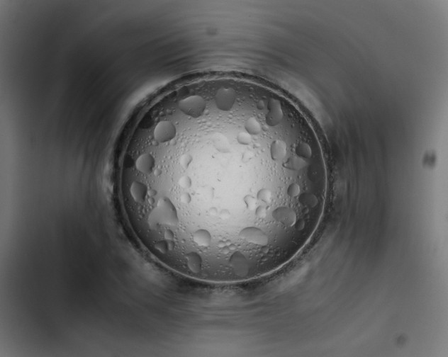 X0000103500979200809121734