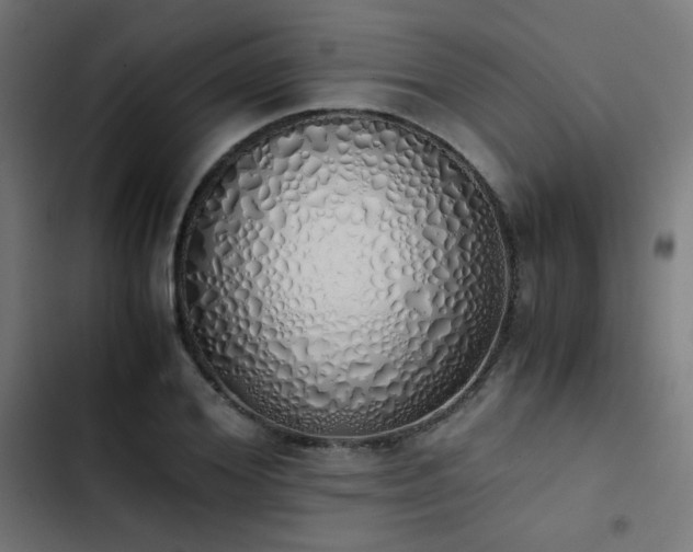 X0000103500980200809121734