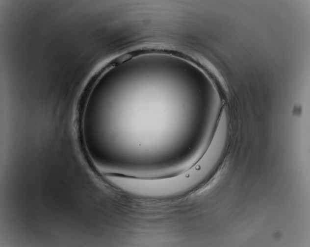 X0000103500981200809121734