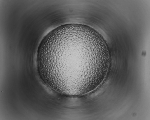 X0000103500982200809121734