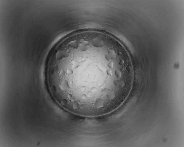 X0000103500983200809121734