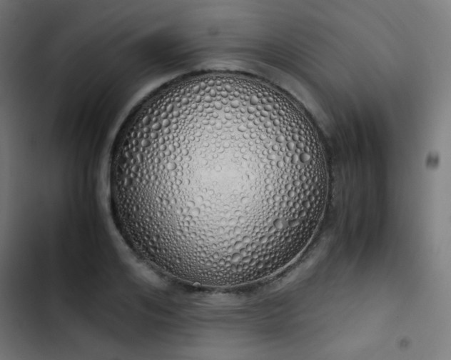 X0000103500984200809121734