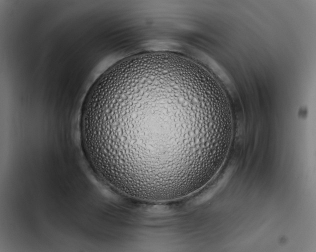 X0000103500986200809121734