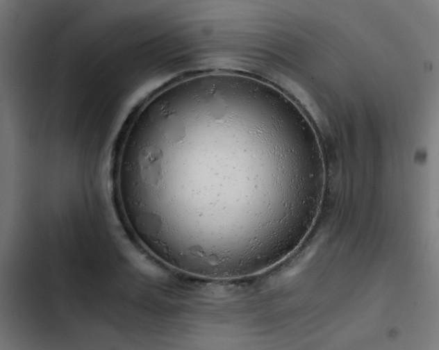 X0000103500987200809121734