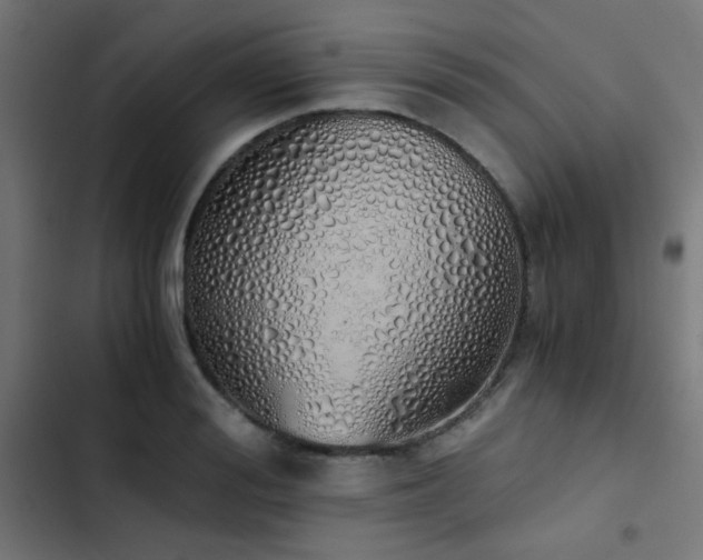 X0000103500988200809121734