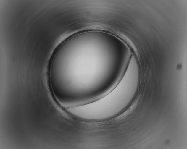 X0000103500989200809121734