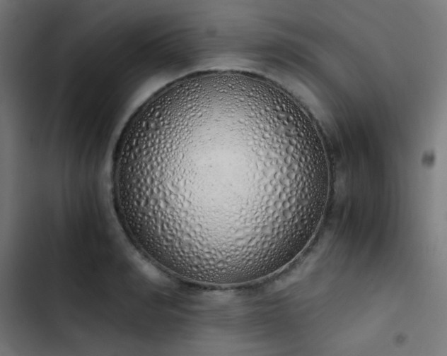 X0000103500990200809121734