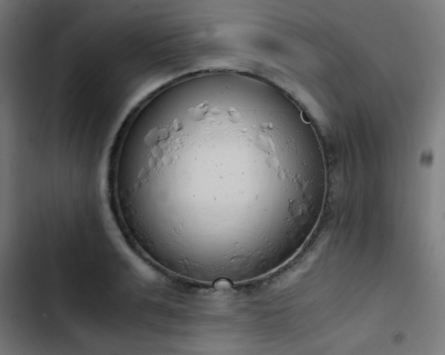 X0000103500991200809121734