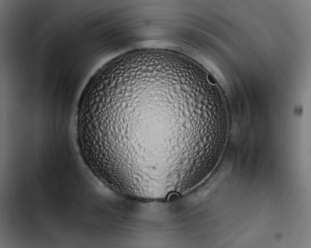 X0000103500992200809121734