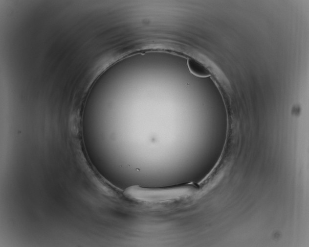 X0000103500993200809121734