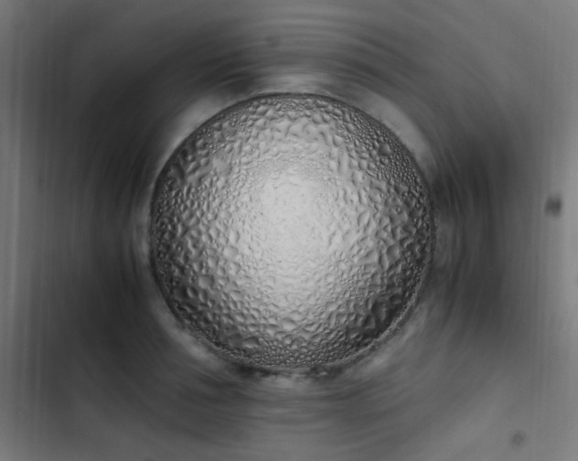 X0000103500994200809121734