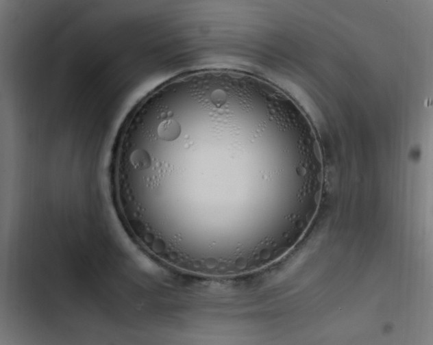 X0000103500995200809121734