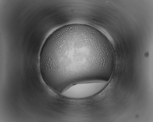 X0000103500996200809121734