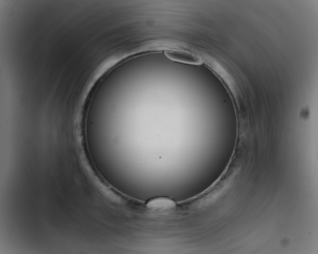 X0000103500997200809121734