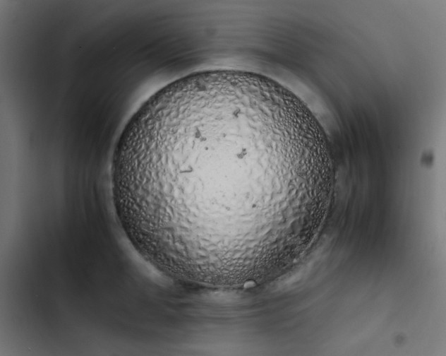 X0000103500998200809121734