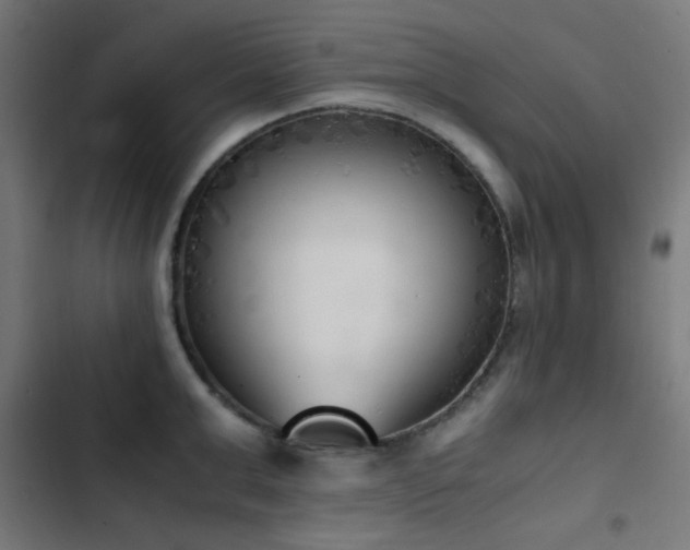 X0000103500999200809121734