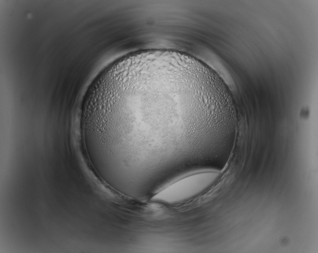 X0000103501000200809121734