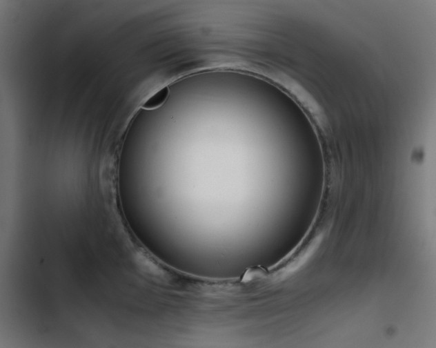 X0000103501001200809121734