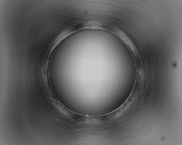 X0000103501002200809121734