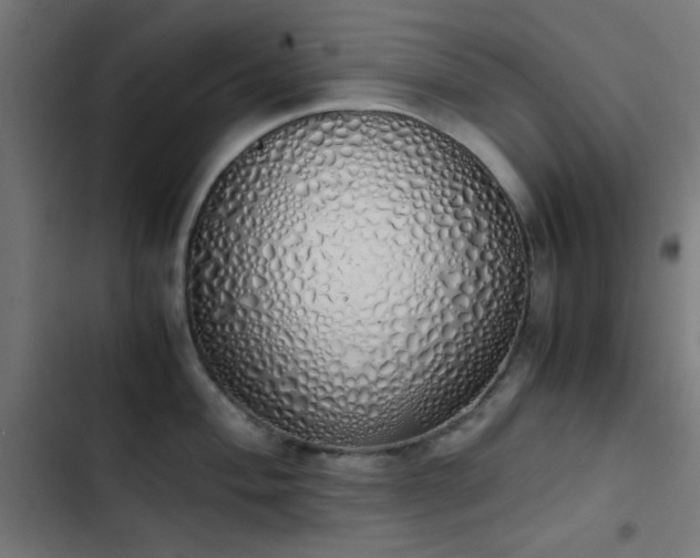 X0000103501004200809121734