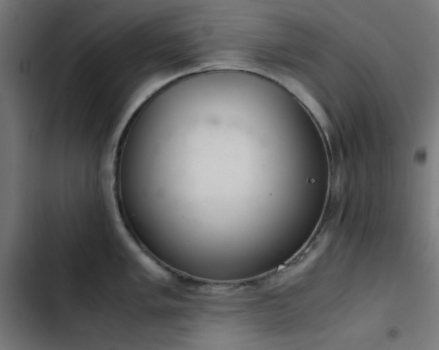 X0000103501005200809121734