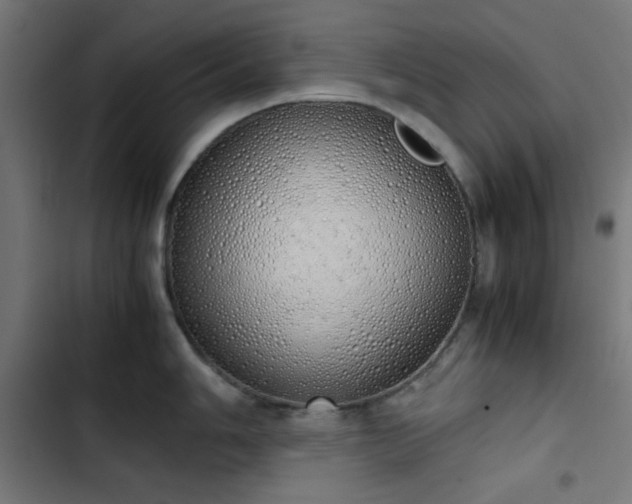 X0000103501006200809121734