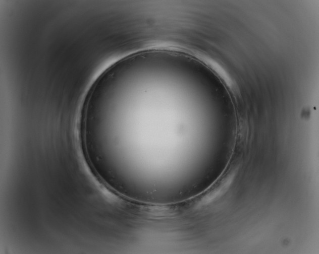 X0000103501007200809121734