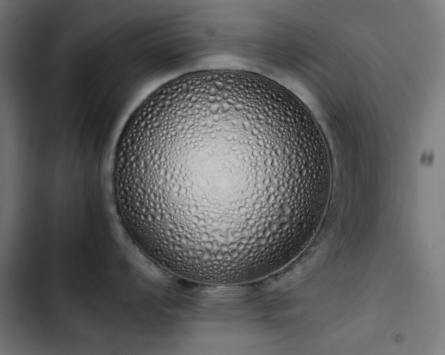 X0000103501008200809121734