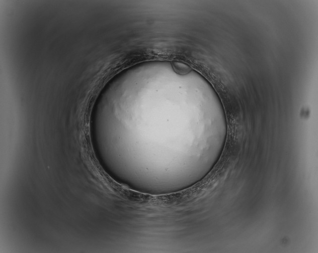 X0000103501009200809121733