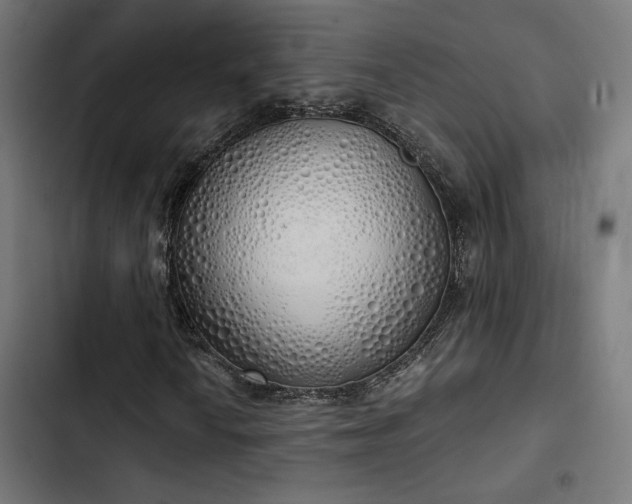 X0000103501010200809121733