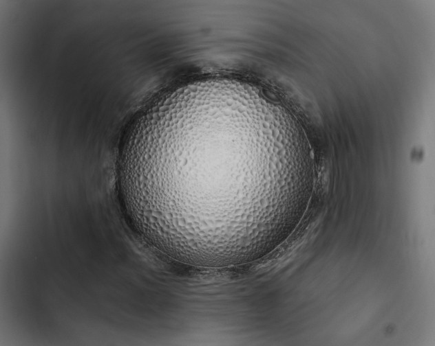 X0000103501012200809121733