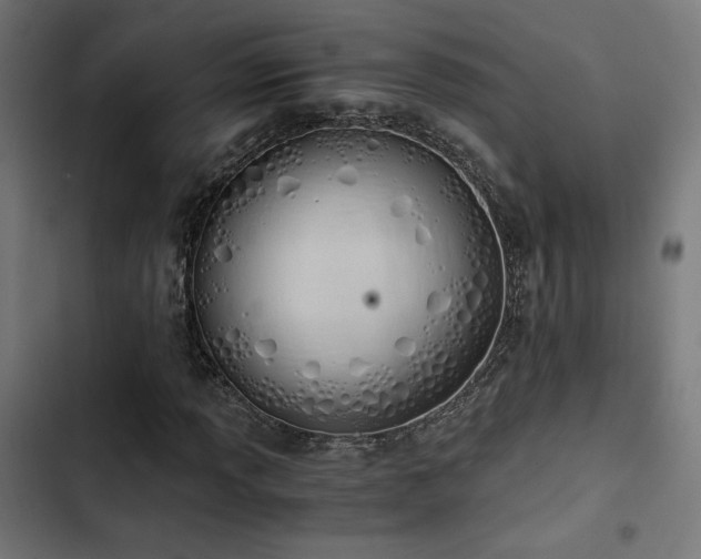 X0000103501013200809121733