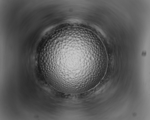 X0000103501016200809121733