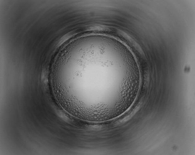 X0000103501017200809121733