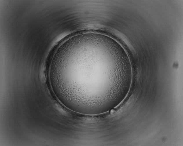 X0000103501018200809121733