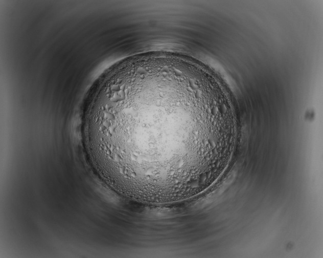 X0000103501019200809121733