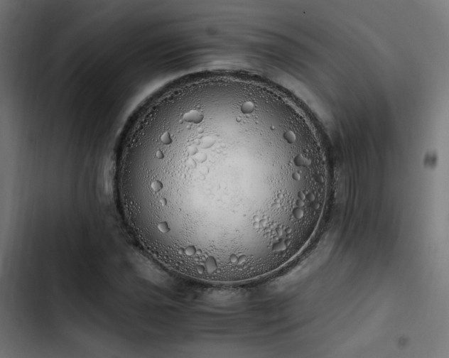 X0000103501021200809121733