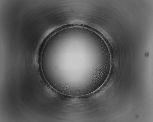 X0000103501022200809121733