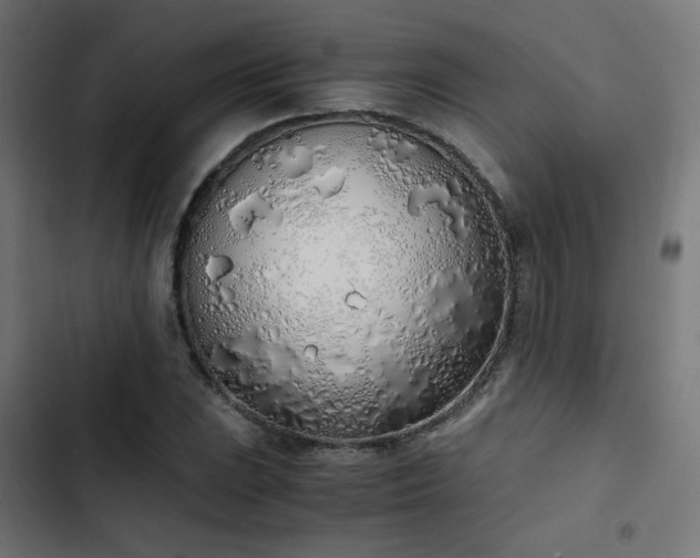 X0000103501023200809121733